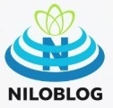 بیتوته کن